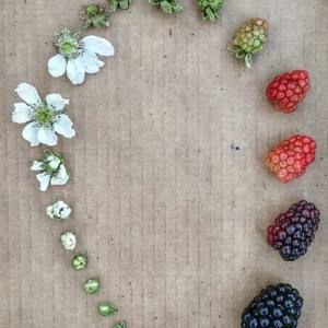 Meet your Posher, Mary heyward